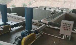 湖南株洲100噸/天養(yǎng)殖污水安